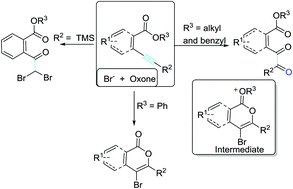 Graphical abstract: Synthesis of benzil-o-carboxylate derivatives and isocoumarins through neighboring ester-participating bromocyclizations of o-alkynylbenzoates