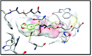 Graphical abstract: New active leads for tuberculosis booster drugs by structure-based drug discovery