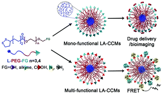 Graphical abstract: Lipoic acid based core cross-linked micelles for multivalent platforms: design, synthesis and application in bio-imaging and drug delivery