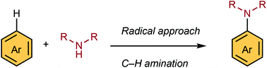 Graphical abstract: Aromatic C–H amination: a radical approach for adding new functions into biology- and materials-oriented aromatics
