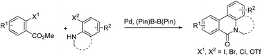 Graphical abstract: A Pd-catalyzed, boron ester-mediated, reductive cross-coupling of two aryl halides to synthesize tricyclic biaryls