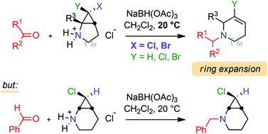 Graphical abstract: Synthesis of functionalised azepanes and piperidines from bicyclic halogenated aminocyclopropane derivatives