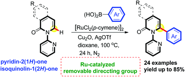 Graphical abstract: Ruthenium-catalyzed site-selective C–H arylation of 2-pyridones and 1-isoquinolinones