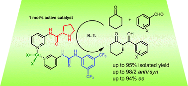 Graphical abstract: A copper-templated, bifunctional organocatalyst: a strongly cooperative dynamic system for the aldol reaction