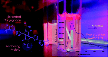 Graphical abstract: Protein-induced fluorescence enhancement of two-photon excitable water-soluble diketopyrrolopyrroles