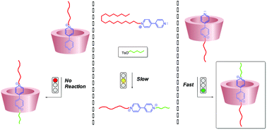 Graphical abstract: Efficient active-template synthesis of calix[6]arene-based oriented pseudorotaxanes and rotaxanes