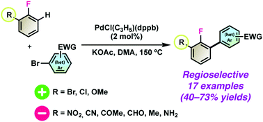 Graphical abstract: Palladium-catalyzed regioselective C–H bond arylations at the C3 position of ortho-substituted fluorobenzenes