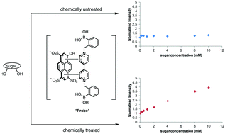 Graphical abstract: Boronic acid recognition of non-interacting carbohydrates for biomedical applications: increasing fluorescence signals of minimally interacting aldoses and sucralose