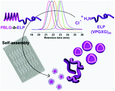 Graphical abstract: Design and self-assembly of PBLG-b-ELP hybrid diblock copolymers based on synthetic and elastin-like polypeptides