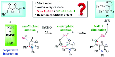 Graphical abstract: Mechanistic investigation on N → Cα → O relay via non-Brook rearrangement: reaction conditions promote synthesis of furo[3,2-c]pyridinones