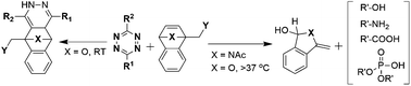 Graphical abstract: Dissociative reactions of benzonorbornadienes with tetrazines: scope of leaving groups and mechanistic insights