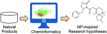 Graphical abstract: Harnessing the potential of natural products in drug discovery from a cheminformatics vantage point