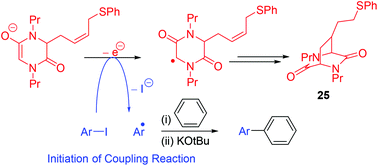 Graphical abstract: Evidence of single electron transfer from the enolate anion of an N,N′-dialkyldiketopiperazine additive in BHAS coupling reactions
