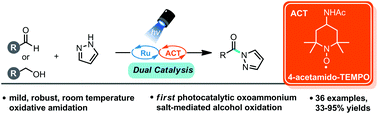 Graphical abstract: Oxidative functionalisation of alcohols and aldehydes via the merger of oxoammonium cations and photoredox catalysis