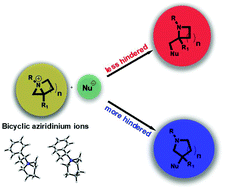 Graphical abstract: Theoretical insight into the regioselective ring-expansions of bicyclic aziridinium ions