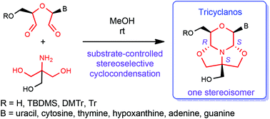 Graphical abstract: Tricyclanos: conformationally constrained nucleoside analogues with a new heterotricycle obtained from a d-ribofuranose unit