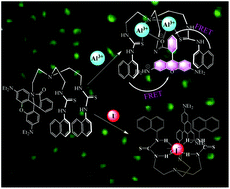 Graphical abstract: Highly selective recognition of Al3+ and I− ions using a bi-functional fluorescent probe