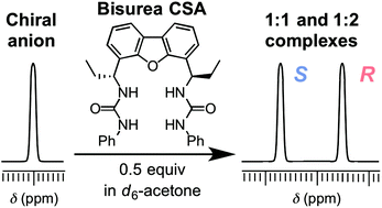 Graphical abstract: Differentiation of enantiomeric anions by NMR spectroscopy with chiral bisurea receptors