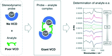 Graphical abstract: Taking advantage of Co(ii) induced enhanced VCD for the fast and sensitive determination of enantiomeric excess