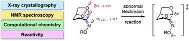 Graphical abstract: Structure–reactivity correlations of the abnormal Beckmann reaction of dihydrolevoglucosenone oxime