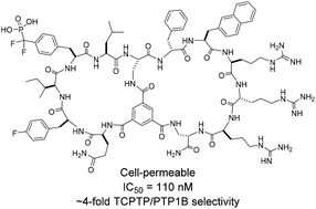 Graphical abstract: Cell-permeable bicyclic peptidyl inhibitors against T-cell protein tyrosine phosphatase from a combinatorial library