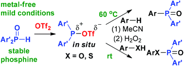 Graphical abstract: Metal-free electrophilic phosphination of electron-rich arenes, arenols and aromatic thiols with diarylphosphine oxides