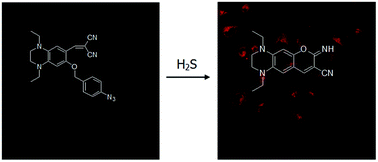 Graphical abstract: A red-emitting fluorescent probe for hydrogen sulfide in living cells with a large Stokes shift