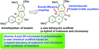 Graphical abstract: Design and synthesis of a hybrid framework of indanone and chromane: total synthesis of a homoisoflavanoid, brazilane