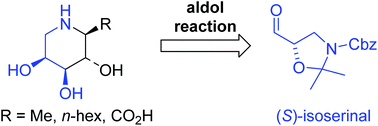 Graphical abstract: Total synthesis of pipecolic acid and 1-C-alkyl 1,5-iminopentitol derivatives by way of stereoselective aldol reactions from (S)-isoserinal