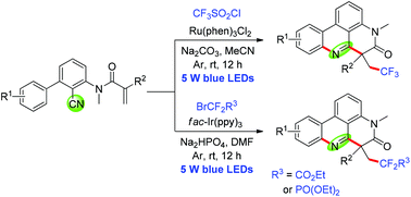 Graphical abstract: Synthesis of trifluoroalkyl or difluoroalkyl phenanthridine derivatives via cascade reaction using an intramolecular cyano group as a radical acceptor under photoredox catalysis