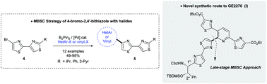 Graphical abstract: Miyaura borylation/Suzuki–Miyaura coupling (MBSC) sequence of 4-bromo-2,4′-bithiazoles with halides: straightforward access to a heterocylic cluster of d-series of thiopeptide GE2270