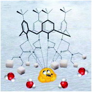Graphical abstract: Neutral glycoconjugated amide-based calix[4]arenes: complexation of alkali metal cations in water