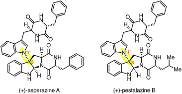 Graphical abstract: Concise total synthesis of (+)-asperazine A and (+)-pestalazine B