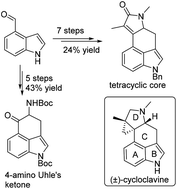 Graphical abstract: Construction of the tetracyclic core of (±)-cycloclavine and 4-amino Uhle's ketone