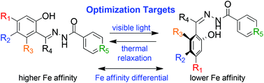 Graphical abstract: Metal-binding hydrazone photoswitches for visible light reactivity and variable relaxation kinetics