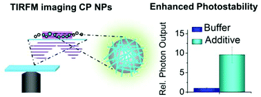Graphical abstract: Enhancing the photostability of poly(phenylene ethynylene) for single particle studies