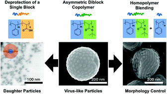 Graphical abstract: Virus-like particles composed of sphere-forming polystyrene-block-poly(t-butyl acrylate) (PS-b-PtBA) and control of surface morphology by homopolymer blending