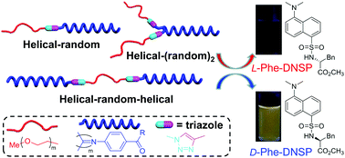 Graphical abstract: Facile synthesis and chiral recognition of block and star copolymers containing stereoregular helical poly(phenyl isocyanide) and polyethylene glycol blocks