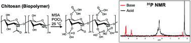 Graphical abstract: Selective monophosphorylation of chitosan via phosphorus oxychloride