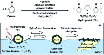 Graphical abstract: Hydrophobic polypyrroles synthesized by aqueous chemical oxidative polymerization and their use as light-responsive liquid marble stabilizers