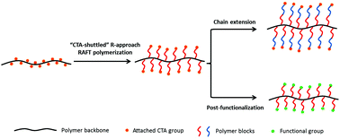 Graphical abstract: A CTA-shuttled R-group approach: a versatile synthetic tool towards well-defined functional cylindrical polymer brushes via RAFT polymerization