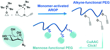 Graphical abstract: “Clickable PEG” via anionic copolymerization of ethylene oxide and glycidyl propargyl ether