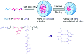 Graphical abstract: Core cross-linked double hydrophilic block copolymer micelles based on multiple hydrogen-bonding interactions
