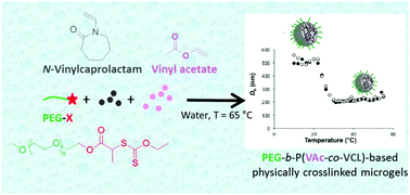 Graphical abstract: RAFT/MADIX emulsion copolymerization of vinyl acetate and N-vinylcaprolactam: towards waterborne physically crosslinked thermoresponsive particles