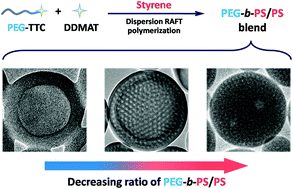 Graphical abstract: In situ synthesis of a self-assembled AB/B blend of poly(ethylene glycol)-b-polystyrene/polystyrene by dispersion RAFT polymerization