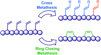 Graphical abstract: Olefin cross metathesis and ring-closing metathesis in polymer chemistry