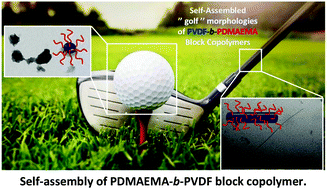 Graphical abstract: Self-assembly of poly(vinylidene fluoride)-block-poly(2-(dimethylamino)ethylmethacrylate) block copolymers prepared by CuAAC click coupling