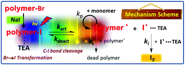 Graphical abstract: Visible-light-induced living radical polymerization using in situ bromine-iodine transformation as an internal boost