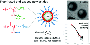 Graphical abstract: End-chain fluorination of polyesters favors perfluorooctyl bromide encapsulation into echogenic PEGylated nanocapsules