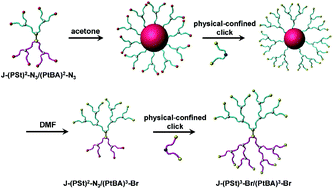 Graphical abstract: Long-subchain Janus-dendritic copolymers from locally confined click reaction and generation-dependent micro-phase separation